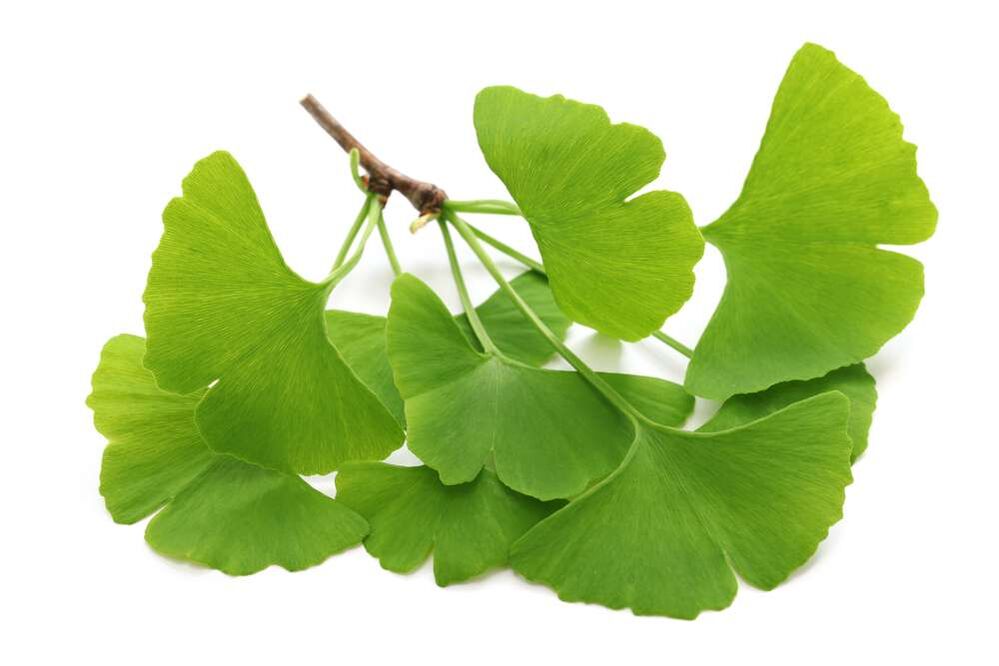 gingko biloba u kapsulama Glucoren